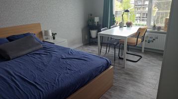 FOR OFFER: temporary room Hasselt, 14m2, €400 beschikbaar voor biedingen