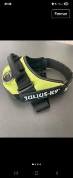 Harnais julius, Enlèvement, Comme neuf