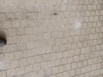 Vierkante klinkers, Enlèvement, 5 à 10 m², Briques, Béton