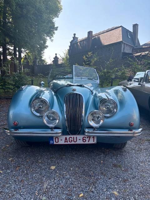 Jaguar XK120 Roadster 1951, Autos, Jaguar, Particulier, XK, Essence, Cabriolet, 2 portes, Boîte manuelle, Bleu, Bleu, Cuir, Traction avant