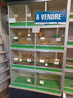 Eleveuse pour oiseaux à vendre, Enlèvement, Comme neuf