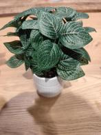 Plantes artificielles plusieurs modeles, Huis en Inrichting, Woonaccessoires | Kunstplanten en Kunstbloemen, Ophalen, Nieuw, Binnen