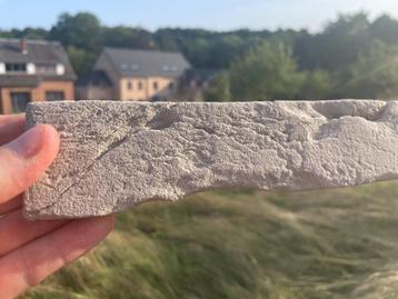 briquette façade beige 210x50 - 20m2 beschikbaar voor biedingen