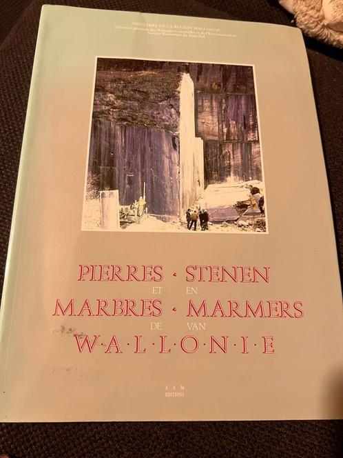 Stenen en Marmers van Wallonie / Pierres et marbres de Wallo, Boeken, Kunst en Cultuur | Architectuur, Gelezen, Architectuur algemeen