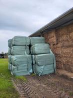 1ste snede Voordroog hooi ( kunnen geleverd worden), Dieren en Toebehoren, Paarden