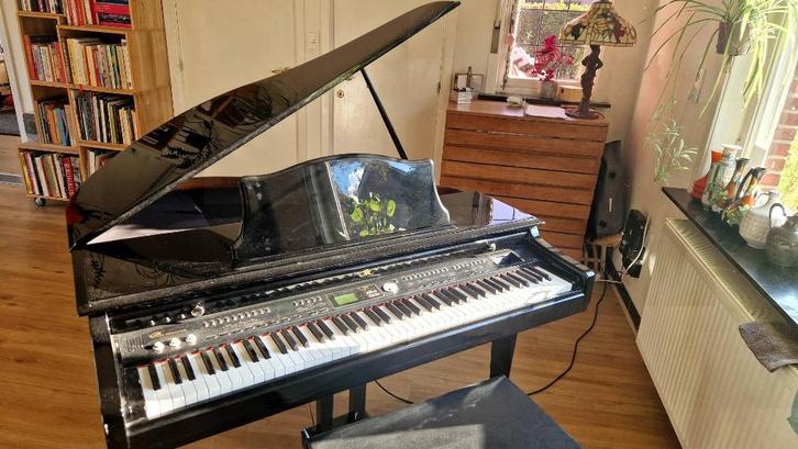Elektrische vleugelpiano, Muziek en Instrumenten, Piano's, Gebruikt, Vleugel, Zwart, Digitaal, Hoogglans, Ophalen