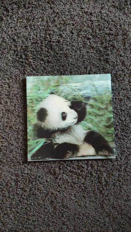 3d schilderij van een panda, Huis en Inrichting, Woonaccessoires | Schilderijen, Tekeningen en Foto's, Zo goed als nieuw, Schilderij