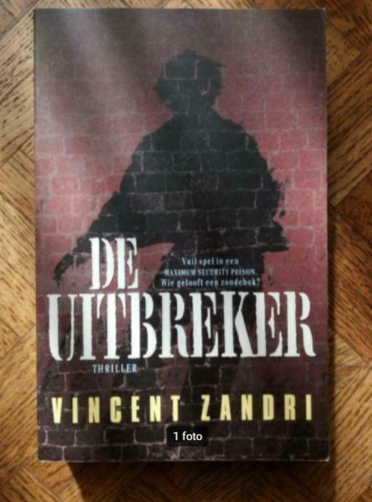 Vincent Zandri: De uitbreker, Livres, Thrillers, Enlèvement ou Envoi