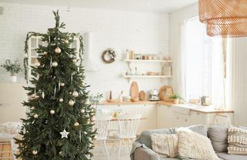 sapin de noel livraison beschikbaar voor biedingen