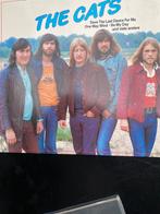 LP the Cats, Enlèvement