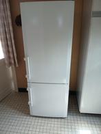 koelkast met diepvriezer, Ophalen, Gebruikt, 140 tot 160 cm, 45 tot 60 cm