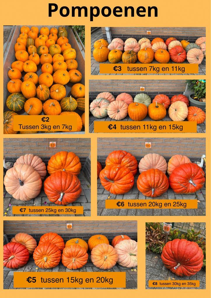 Diverse pompoenen, Diversen, Levensmiddelen, Ophalen