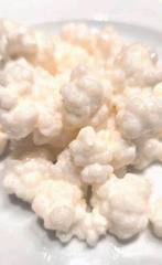 Grain Kefir de lait Gratuit, Enlèvement