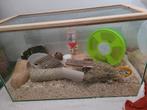 Hamster terrarium, Dieren en Toebehoren, Ophalen, Zo goed als nieuw, Kooi, Hamster