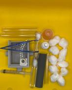 Kit de démarrage Lasius Niger, Fourmis