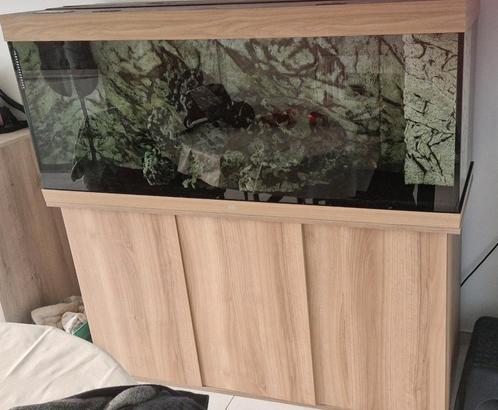 aquarium te koop, Dieren en Toebehoren, Vissen | Aquaria en Toebehoren, Ophalen