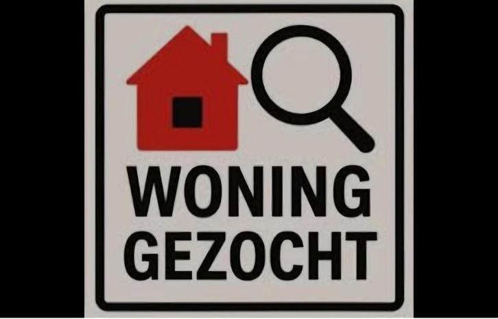 Dringend woning gezocht, Immo, Op zoek naar een huis