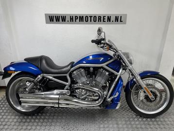 Harley-Davidson VRSCAW V-ROD V ROD NIGHTROD SPECIAL ABS 1250