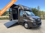 Iveco Daily 2-paards paardenvrachtwagen 3500KG trekhaak B-ri, Dieren en Toebehoren, Paarden en Pony's | Trailers en Aanhangwagens