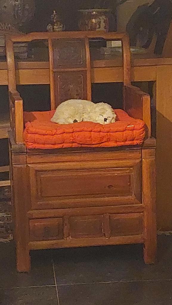 Chinese stoel, Antiek en Kunst, Antiek | Meubels | Bedden, Ophalen