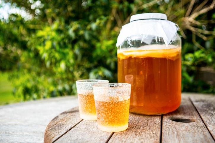 Scoby - Kombucha, Diversen, Levensmiddelen, Ophalen of Verzenden