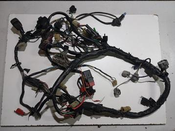 Volledig harnas Honda Fireblade Cbr 929 rr sc44 2000 2001 beschikbaar voor biedingen