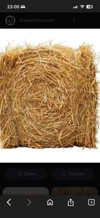 IK ZOEK BIO STRO, Enlèvement