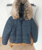 Donkerblauwe dames jas SUPERDRAY maat M met afneembare kap, Kleding | Dames, Jassen | Winter, Maat 38/40 (M), Ophalen of Verzenden