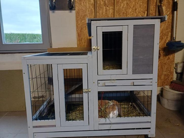Konijnenhok, Animaux & Accessoires, Rongeurs & Lapins | Cages & Clapiers, Neuf, Niche, 90 cm ou plus, 75 à 110 cm, Lapin, Enlèvement