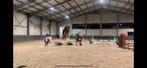 Paarden en pony’s scheren op locatie – regio West-Vlaanderen, Dieren en Toebehoren, Ophalen of Verzenden, Nieuw