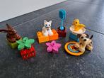 Lego Duplo huisdieren 10838, Comme neuf, Duplo, Ensemble complet, Enlèvement ou Envoi
