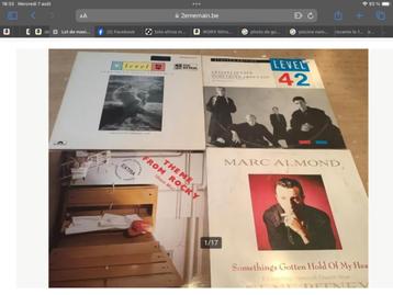 Lot de maxi 45 tours vinyles disponible aux enchères