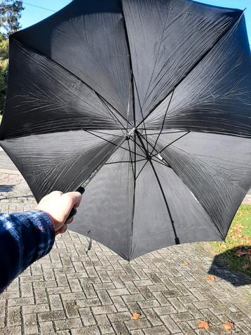 Paraplu en wandelstok inéén beschikbaar voor biedingen