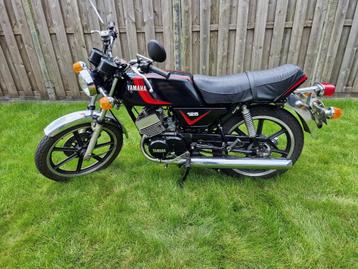 3 x Yamaha RD125DX noir, blanc et bordeaux.