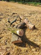 houtsoort Eik en esdoorn, Tuin en Terras, Brandhout, 6 m³ of meer, Ophalen of Verzenden, Overige houtsoorten, Stammen
