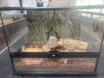 exo terra terrarium, Ophalen, Gebruikt, Terrarium of Paludarium