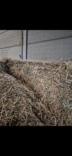 Foin à vendre