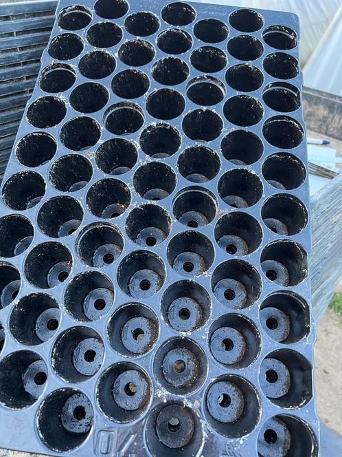 Stekplaat zaaiplaat plantplaat 70 gaten, Tuin en Terras, Bloembakken en Plantenbakken, Zo goed als nieuw, Kunststof, Binnen, Balkon
