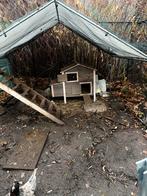 Kippen ren en hok, Dieren en Toebehoren, Pluimvee | Toebehoren, Ophalen