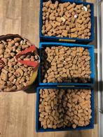 Champagne- en cavakurken te koop (3000 stuks), Ophalen, Gebruikt