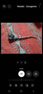 Oude pijp, Ophalen of Verzenden