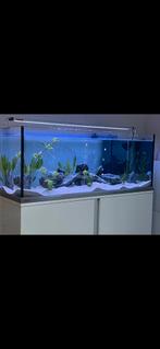 2 aquariums, Utilisé