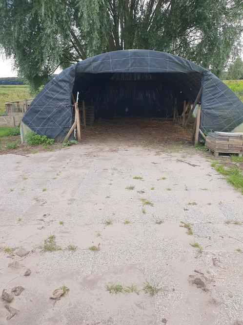 Weidegang 3/4 paarden, Dieren en Toebehoren, Stalling en Weidegang, Weidegang