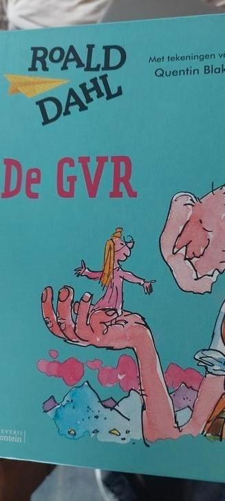 Roald Dahl - De GVR, Boeken, Kinderboeken | Jeugd | onder 10 jaar, Ophalen of Verzenden