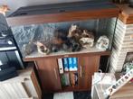 Aquirium, Dieren en Toebehoren, Ophalen, Gebruikt, Leeg aquarium
