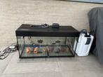 Aquarium en filterpomp, volledige kweekbak aquarium vissen, Dieren en Toebehoren, Ophalen, Zo goed als nieuw