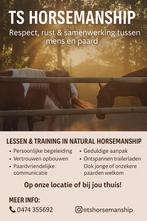 Lessen natural horsemanship, Dieren en Toebehoren, Ophalen