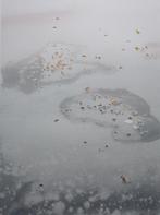 HUGO HEYRMAN / ZWARTE PANTER / KLEURZEEFDRUK / 63x44cm SIG, Ophalen of Verzenden