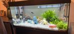 Compleet aquarium met meubel, Dieren en Toebehoren, Ophalen, Zo goed als nieuw