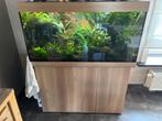 juwel rio 300, Dieren en Toebehoren, Ophalen, Gebruikt, Gevuld zoetwateraquarium